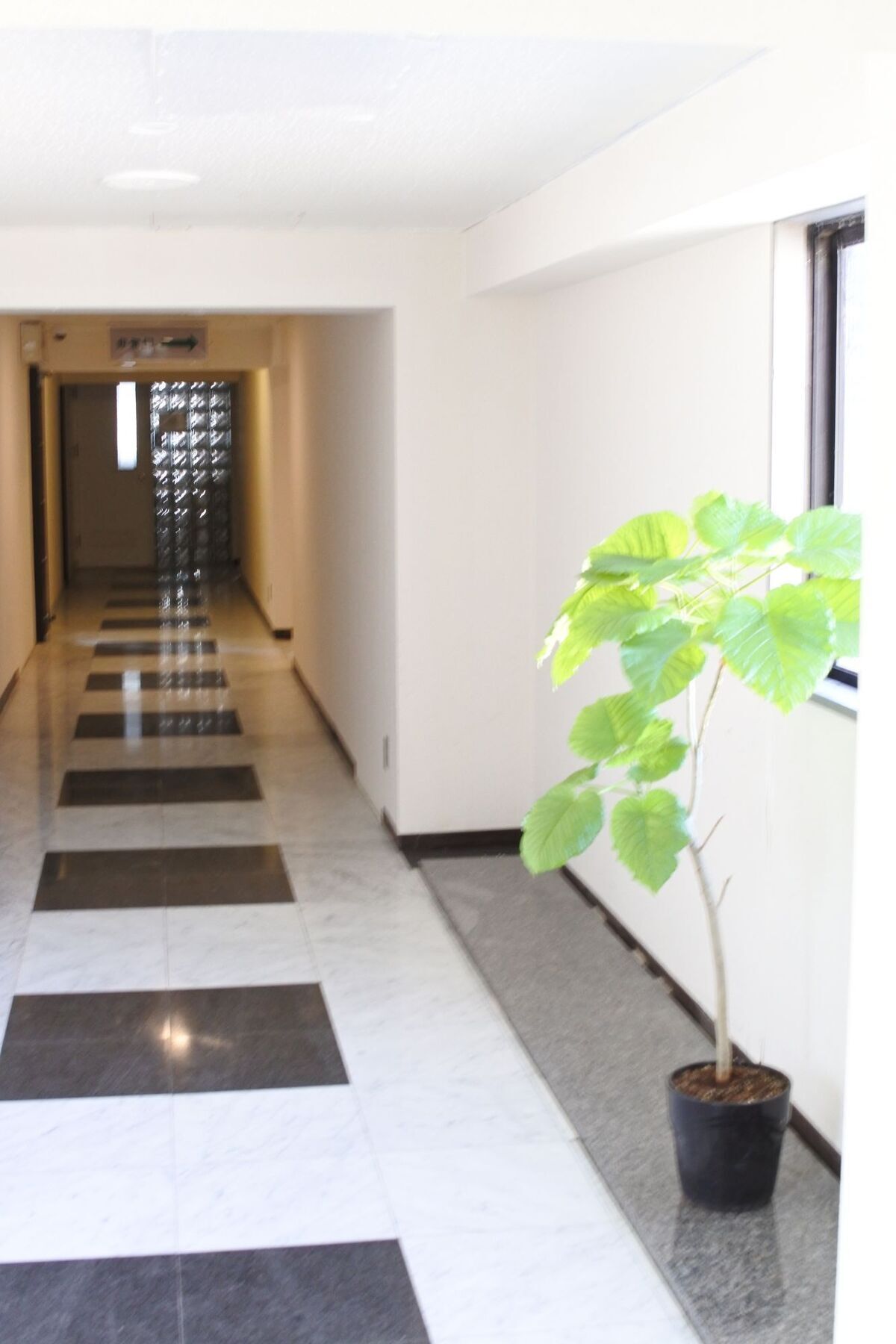 Kagoshima Guest House M104 - Hostel Eksteriør billede